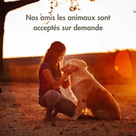 Le Loft Nature Bien-etre Piscine Chauffee Privee Du Tarn Entre Toulouse Et Albi & Les Du Tarn * Peyrole