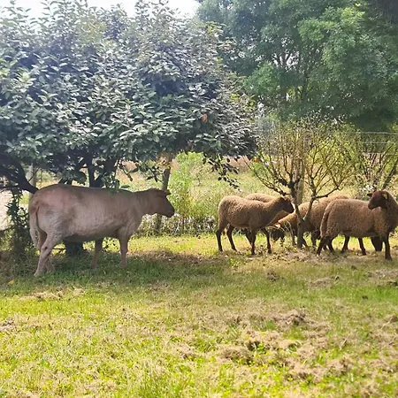 Le Loft Nature Bien-etre Piscine Chauffée Privée Du Tarn Entre Toulouse Et Albi&les Du Tarn *