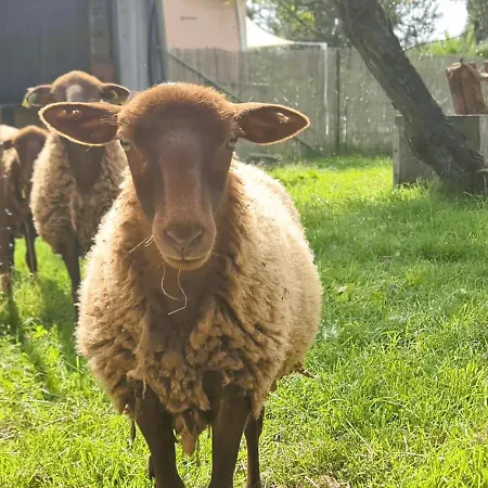 Le Loft Nature Bien-etre Piscine Chauffee Privee Du Tarn Entre Toulouse Et Albi & Les Du Tarn
