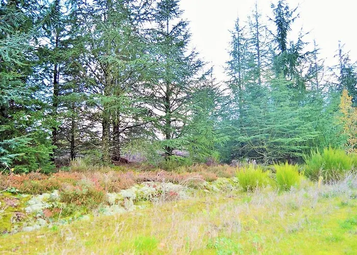 Сasa de vacaciones Le Loft Nature Bien-etre Piscine Chauffée Privée Du Tarn Entre Toulouse Et Albi&les Du Tarn *