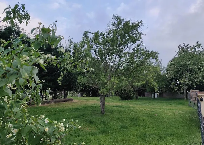 Le Loft Nature Bien-etre Piscine Chauffée Privée Du Tarn Entre Toulouse Et Albi&les Du Tarn Сasa de vacaciones *