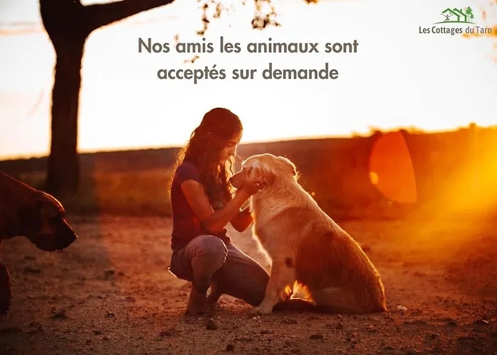 Le Loft Nature Bien-etre Piscine Chauffée Privée Du Tarn Entre Toulouse Et Albi&les Du Tarn * Peyrole