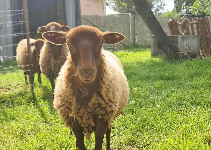 Le Loft Nature Bien-etre Piscine Chauffée Privée Du Tarn Entre Toulouse Et Albi&les Du Tarn
