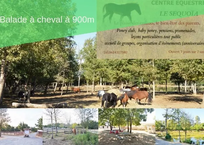 Le Loft Nature Bien-etre Piscine Chauffée Privée Du Tarn Entre Toulouse Et Albi&les Du Tarn * Peyrole